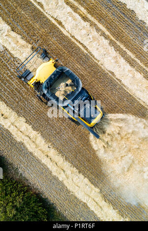 Vue aérienne directement au-dessus d'une moissonneuse-batteuse la collecte de lignes de grain de la coupe ; Beiseker, Alberta, Canada Banque D'Images