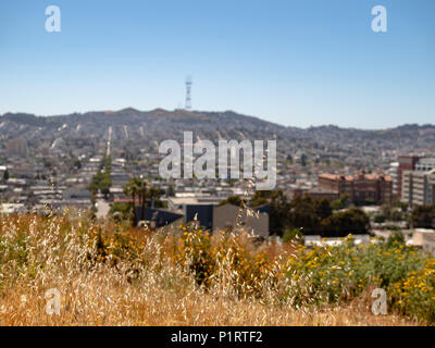 Certains, de mauvaises herbes et des fleurs dans un champ avec Sutro Tower et Twin Peaks dans l'arrière-plan Banque D'Images
