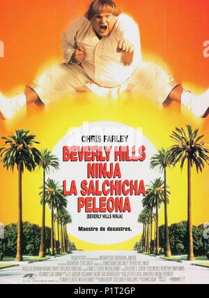 Titre original : BEVERLY HILLS NINJA. Titre en anglais : BEVERLY HILLS NINJA. Directeur de film : Dennis Dugan. Année : 1997. Credit : AAM / Album Banque D'Images