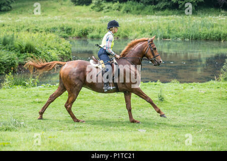 Galloping horse rider par un lac Banque D'Images