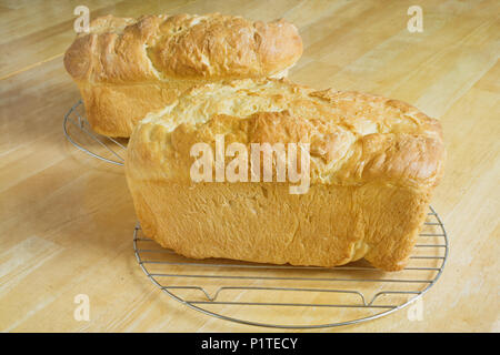 Deux amours de refroidissement du pain sur des supports. Banque D'Images