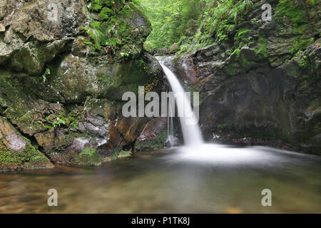 Nyznerov cascades de la Siver Brook, République tchèque. Silver Creek Falls, cascades aussi Nyznerov se trouve dans le village de Upper Skorosice de 12 hect Banque D'Images