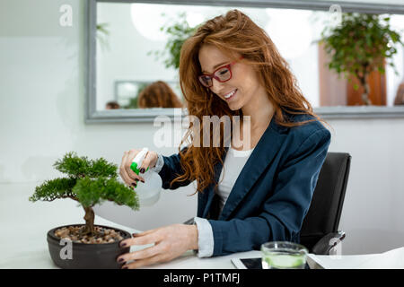 Jeune femme d'affaires travaillant dans le bureau et elle pulvérise de l'eau sur arbre de bonzaies et sourit. Banque D'Images