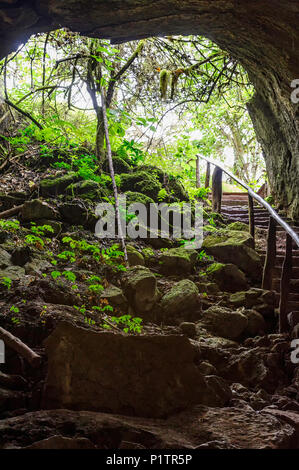 Entrée aux tunnels de Lava, île de Santa Cruz, îles Galapagos, Équateur Banque D'Images