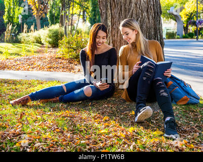 Deux étudiantes des universités s'asseoir sous un arbre à parler, la lecture et à la recherche à un téléphone intelligent ensemble ; Edmonton, Alberta, Canada Banque D'Images