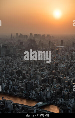 Les toits de la ville au coucher du soleil. Tokyo, Japon, vu de l'Skytree. Banque D'Images