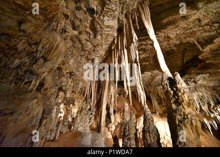 Grotte de calcaire de Mole Creek, Tasmanie, Australie Banque D'Images