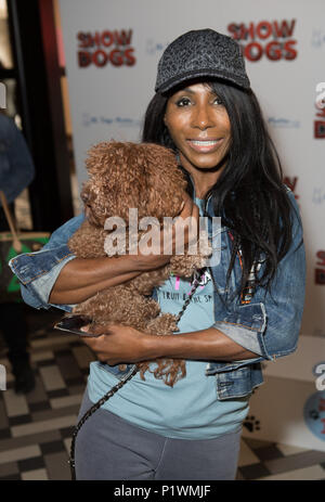 Dépistage des célébrités assister à la suite d'une comédie familiale Rottweiler chien de police a ordonné d'aller undercover comme un chien d'exposition dans un prestigieux spectacle chien : Sinitta Où : London, Royaume-Uni Quand : 13 mai 2018 Credit : Phil Lewis/WENN.com Banque D'Images