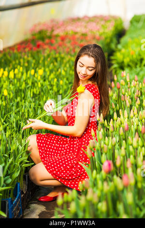 Belle femme assise dans un champ de tulipes rouges au coucher du soleil. Banque D'Images