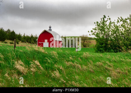 Une grange fraîchement peint en vert se dresse un nouveau tapis vert d'herbe dans le Nebraska Sandhills dans la partie centrale du nord de l'état. Banque D'Images
