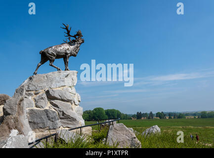 Le Caribou Memorial donnant sur le champ de bataille de la Somme à Terre-Neuve Memorial Park, Somme Banque D'Images