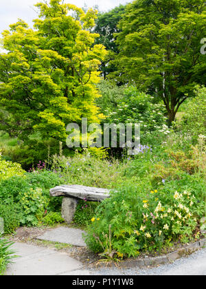 Banc rustique en bois argenté se niche entre la plantation d'herbacées denses à la maison du jardin, Buckland Monachorum, Devon, UK Banque D'Images