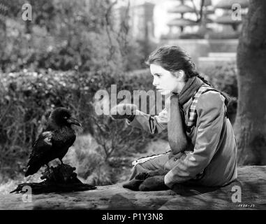 Titre original : The Secret Garden. Titre en anglais : Le jardin secret. Film Réalisateur : FRED M. WILCOX. Année : 1949. Stars : Margaret O'Brien. Credit : M.G.M. / Album Banque D'Images