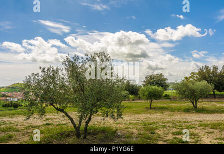 Avis de Marmilla Région. Marmilla est une région naturelle du sud du centre-est de la Sardaigne, Italie. Banque D'Images