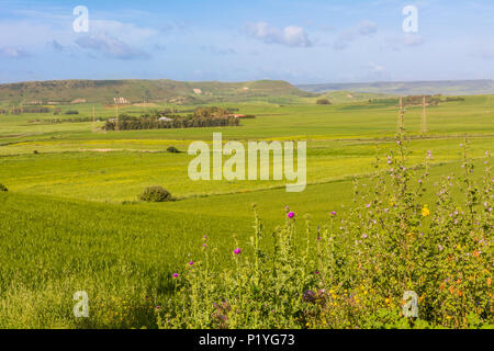 Avis de Marmilla Région. Marmilla est une région naturelle du sud du centre-est de la Sardaigne, Italie. Banque D'Images