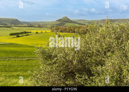 Avis de Marmilla Région. Marmilla est une région naturelle du sud du centre-est de la Sardaigne, Italie. à l'arrière-plan vous pouvez voir la forteresse de Castello di M Banque D'Images