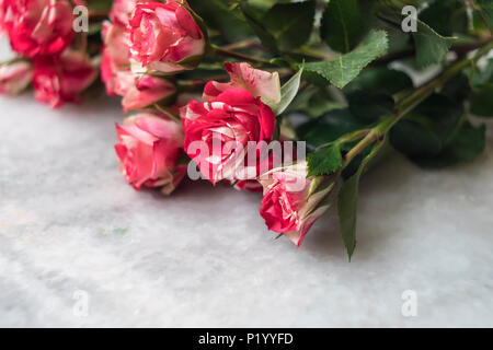 Bouquet de petites roses roses sur table en marbre, Close up Banque D'Images