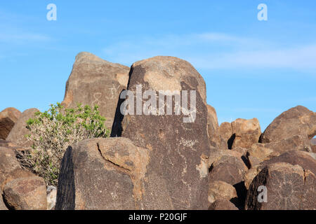 Pétroglyphes, art rupestre, trouvés sur des rochers au sommet de Signal Hill sur le sentier de la colline de Signal en Saguaro National Park, Arizona, USA Banque D'Images