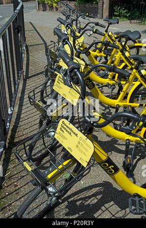 Dockless vélos garés à twickenham ofo, Middlesex, Angleterre Banque D'Images