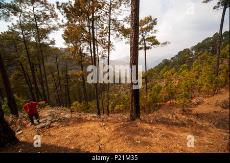 Vallée où Jim Corbett a tourné le Chowgarh maneating tigresse, Kala Agar, Uttarakhand, Inde Banque D'Images