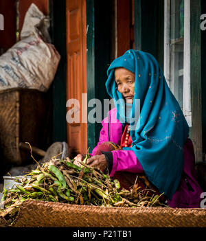 Une Népalaise femme pois à écosser à partir de sa récolte sur le porche en face de sa maison, dans la région du Népal Annapurna Banque D'Images