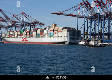 MARITIME DU MILLÉNAIRE, tracteur remorqueur, TIM QUIGG, abordé le navire porte-conteneurs OOCL OOCL LONDRES dans le Port de Long Beach, Californie, USA. Banque D'Images