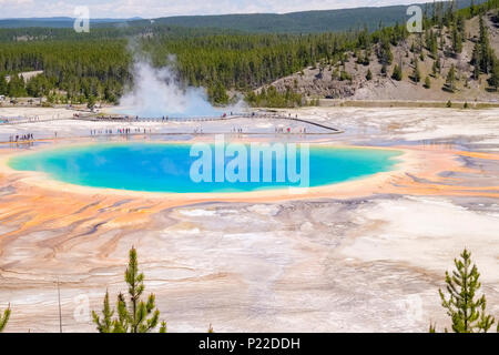 Donnent sur vue sur la Grand Prismatic Spring avec un cadre multicolore à Yellowstone National Park Banque D'Images