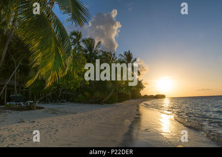 Coucher du soleil sur la plage tropicale avec palmiers aux Maldives Banque D'Images