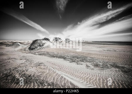 Dunes de sable de Bahia Magdalena bay dans la péninsule de Basse-Californie au nord du Mexique Banque D'Images