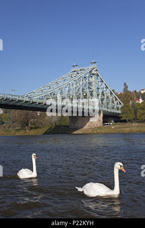 Le pont de l'Elbe Blaues Wunder' 'entre Loschwitz et Blasewitz, Dresde, Saxe, Allemagne, Banque D'Images