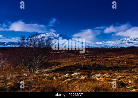 Image haute en couleur contrastée couvre le paysage désolé du célèbre parc national d'islande Thingvellir, avril 2018 Banque D'Images