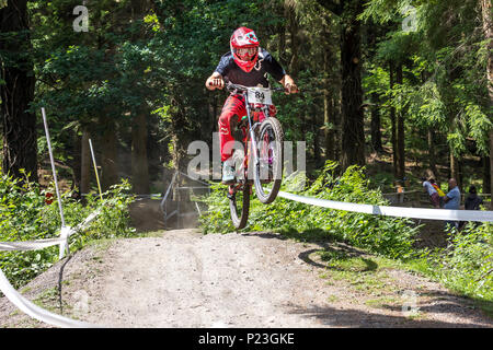 MIJ Ski Randonnée Forêt de Dean Gloucestershire Vtt MIJ Banque D'Images