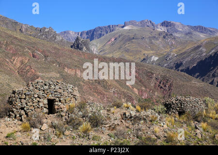 Pre-Incan maisons rondes nommé près de Chivay colca au Pérou. Colcas sont circulaires, structures de pierre utilisé pour conserver les aliments ou les enterrements. Banque D'Images