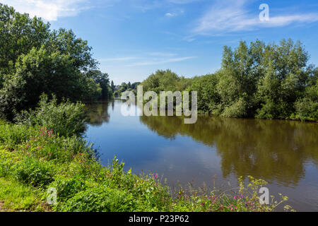 Vue sur la rivière Wye depuis le fleuve à pied, Ross-on-Wye, Herefordshire, Angleterre, RU Banque D'Images