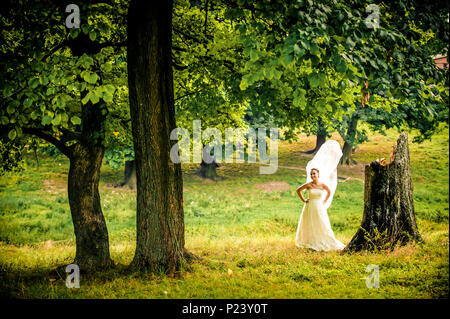 Belle Mariée avec grand voile et robe classique près du vieil arbre dans le parc de l'été, beau fonds de Banque D'Images