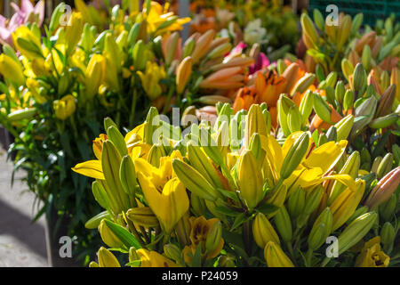 Lys multicolores dans la rue du marché dans une journée ensoleillée de printemps Banque D'Images