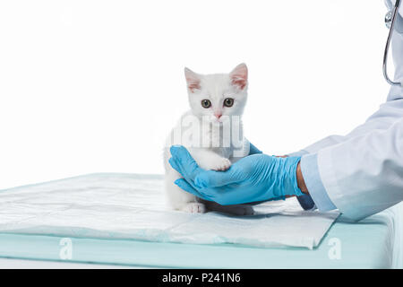 Cropped shot de vétérinaire dans les gants holding kitten isolé sur fond blanc Banque D'Images