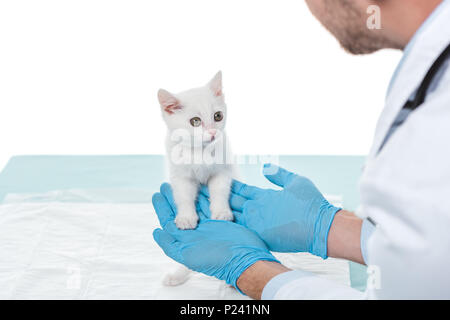 Image recadrée de vétérinaire dans les gants holding kitten isolé sur fond blanc Banque D'Images