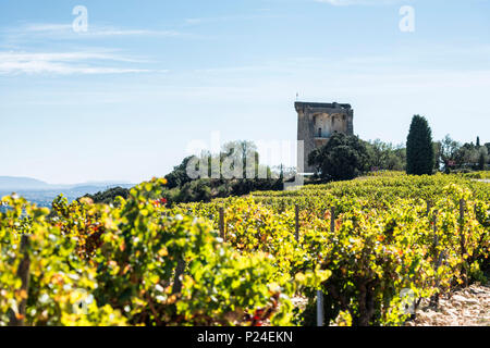 Châteauneuf-du-Pape, Vaucluse, Provence-Alpes-Côte d'Azur, Provence, France, vue de Châteauneuf-du-Pape château et des célèbres vignobles de la vallée du Rhône. Banque D'Images