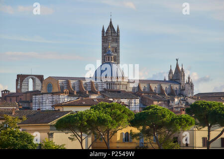 La Cathédrale de Sienne, Sienne, Toscane, Italie Banque D'Images