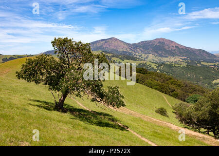 Collines de Morgan Territoire Regional Preserve , l'East Bay Regional Park situé dans le comté de Contra Costa, et le sommet du Mont Banque D'Images