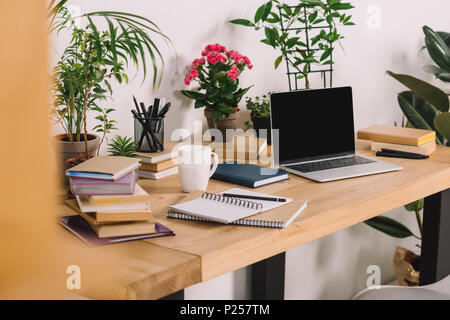 Ordinateur portable sur table en bois avec des plantes en pots in office Banque D'Images