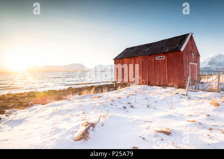 La maison rouge typique sur la plage pendant le coucher du soleil, d'hiver, Nordmannvik Kafjord, Alpes de Lyngen, Tromso, Norvège, Europe Banque D'Images