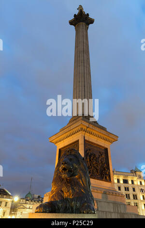 La colonne Nelson à Trafalgar Square, Londres, Angleterre, Royaume-Uni Banque D'Images
