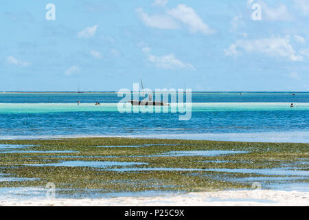 Afrique de l'Est, la Tanzanie, Zanzibar, Kiwengwa Beach un jour d'été, à marée basse. Banque D'Images