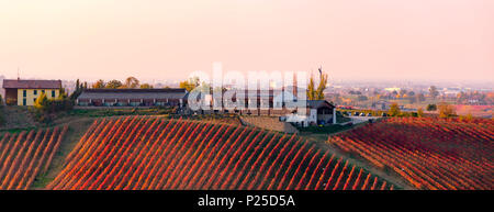 Lambrusco Grasparossa vignobles et de l'agrotourisme en automne. Castelvetro di Modena, Emilie Romagne, Italie Banque D'Images