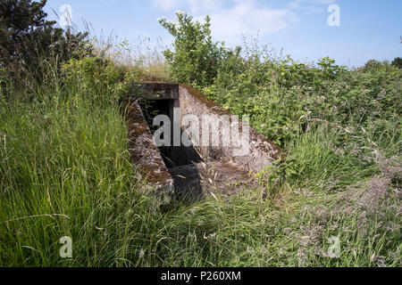 Entrée d'un ancien abri anti-aérien près de Stanton Ironworks, Derbyshire, Royaume-Uni Banque D'Images