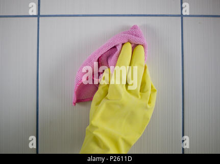Femme au foyer, une femme au foyer s'acquitte de son travail, est propre avec un tissu dans sa main, et des gants sur ses mains, des gants en caoutchouc pour le nettoyage Banque D'Images