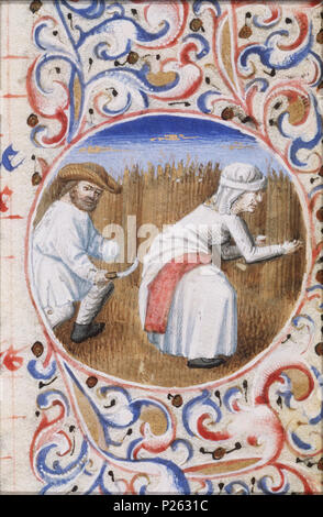 . Juillet - un homme récolter le maïs et une femme à lier des gerbes - miniature du folio 094rfrom le livre d'heures de Simon de varie - KB 74 G37a . Juillet - un homme récolter le maïs et une femme à lier des gerbes - miniature du folio 094r du livre d'heures de Simon de varie - KB 74 G37a sujets représentés dans cette miniature de juillet et son 'travail' (23K31), de céréales (maïs grain, l'herbe avec les céréales, cultivées pour l'alimentation, p. ex. : blé, riz, seigle, avoine, maïs, sarrasin, millet) (47I111) la récolte, cueillette, la tonte  la récolte (47I141) de la Gerbe Agitée (47J1421) Cette miniature fait partie de folio 094r . 159 - Juillet 1455 Un homme tirer un maïs Banque D'Images