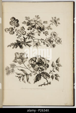 . Anglais : Bound Imprimer (France) . avant 1921 (la date d'acquisition) 39 Impression lié (France) 18223065 (CH) Banque D'Images